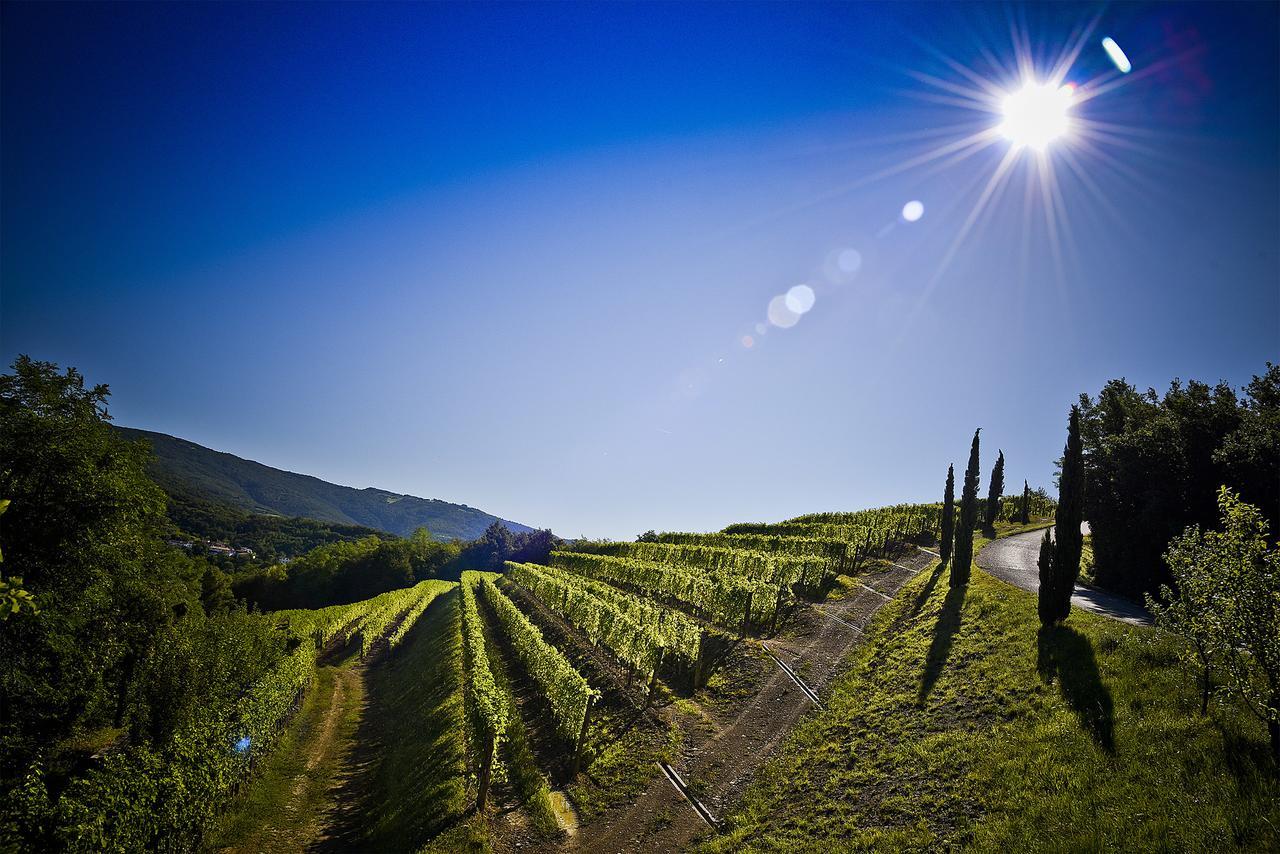 Venica & Venica Wine Resort Dolegna del Collio Buitenkant foto
