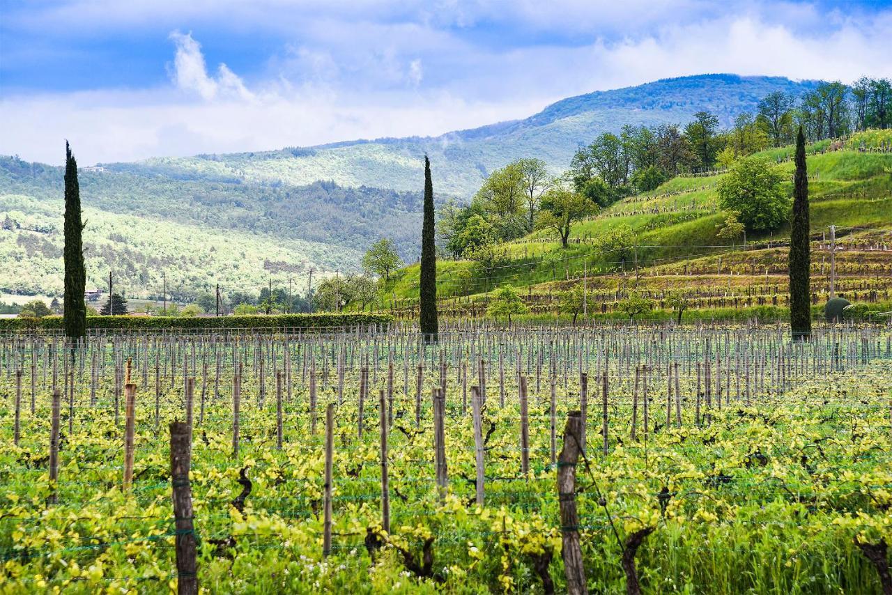 Venica & Venica Wine Resort Dolegna del Collio Buitenkant foto